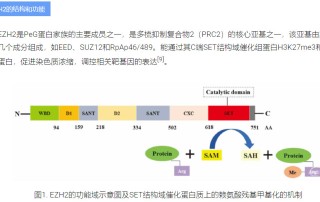 2024十二生肖49码表