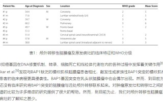 2024十二生肖49码表