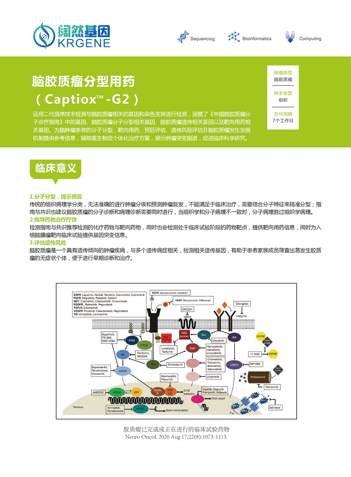 脑胶质瘤分型用药