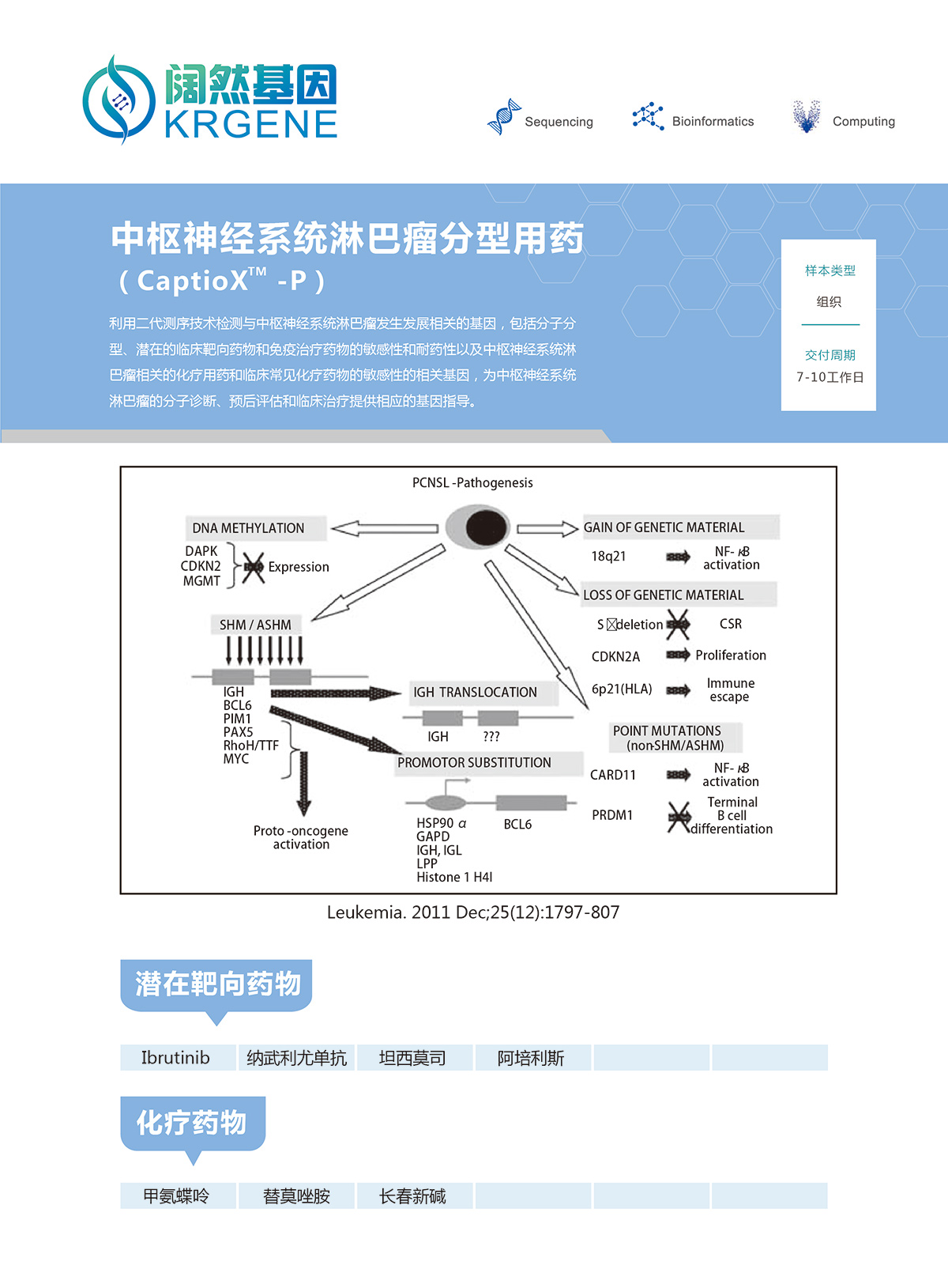 中枢神经系统淋巴瘤分型用药