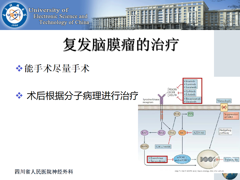 2024十二生肖49码表