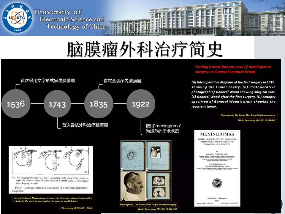 2024十二生肖49码表