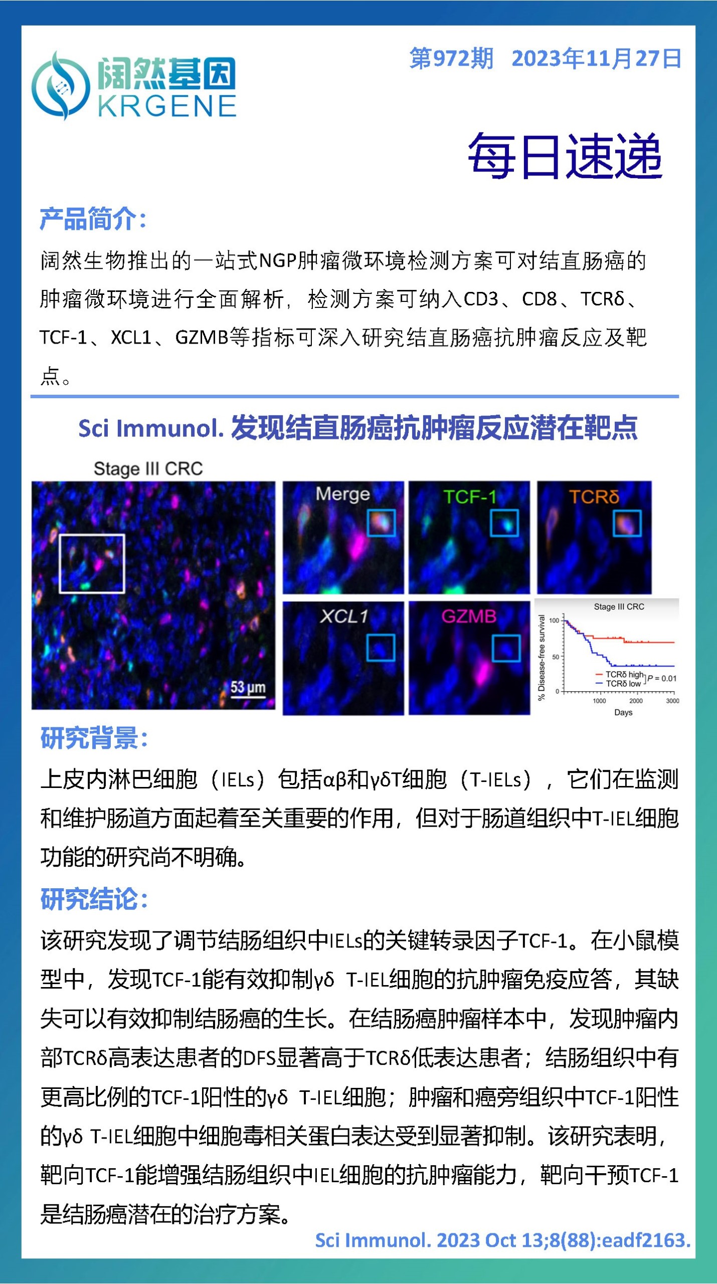 2024十二生肖49码表