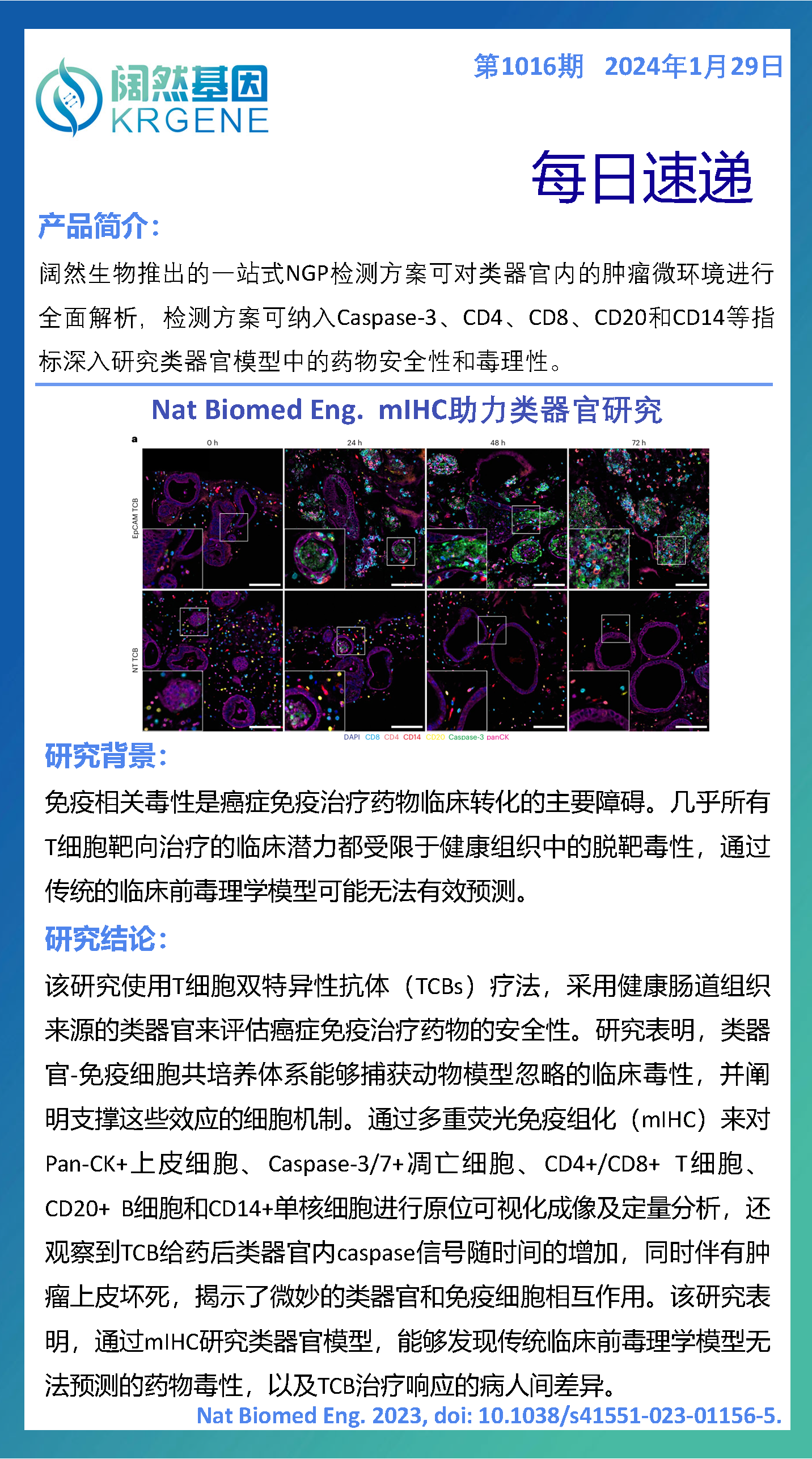 2024十二生肖49码表