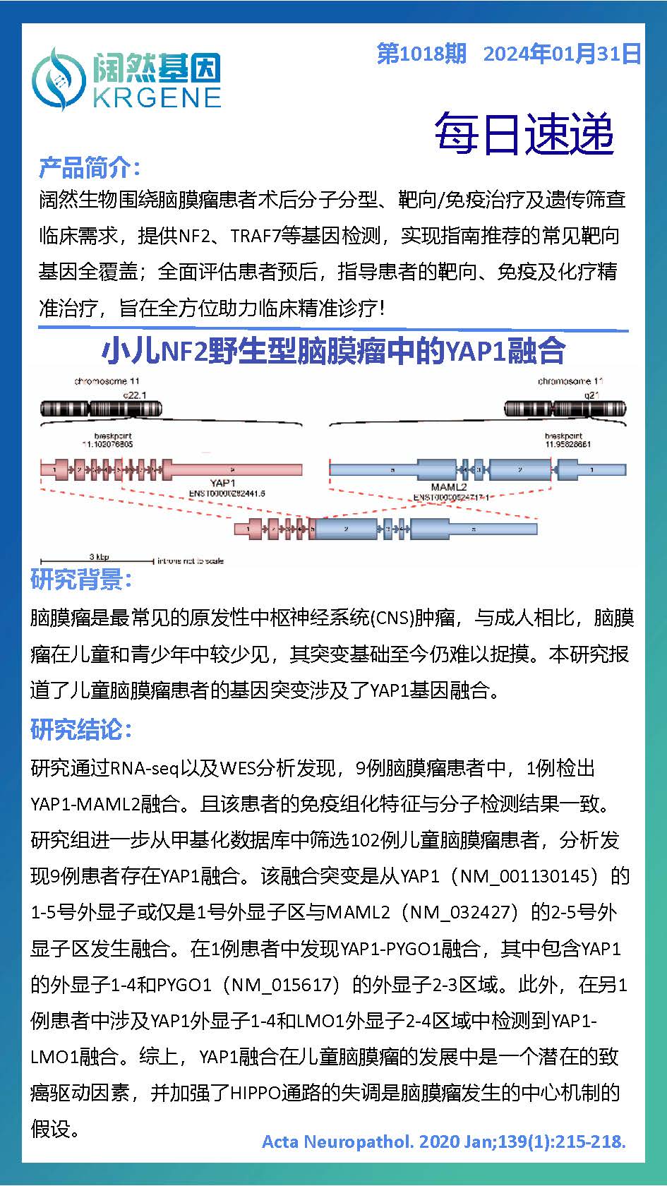 2024十二生肖49码表