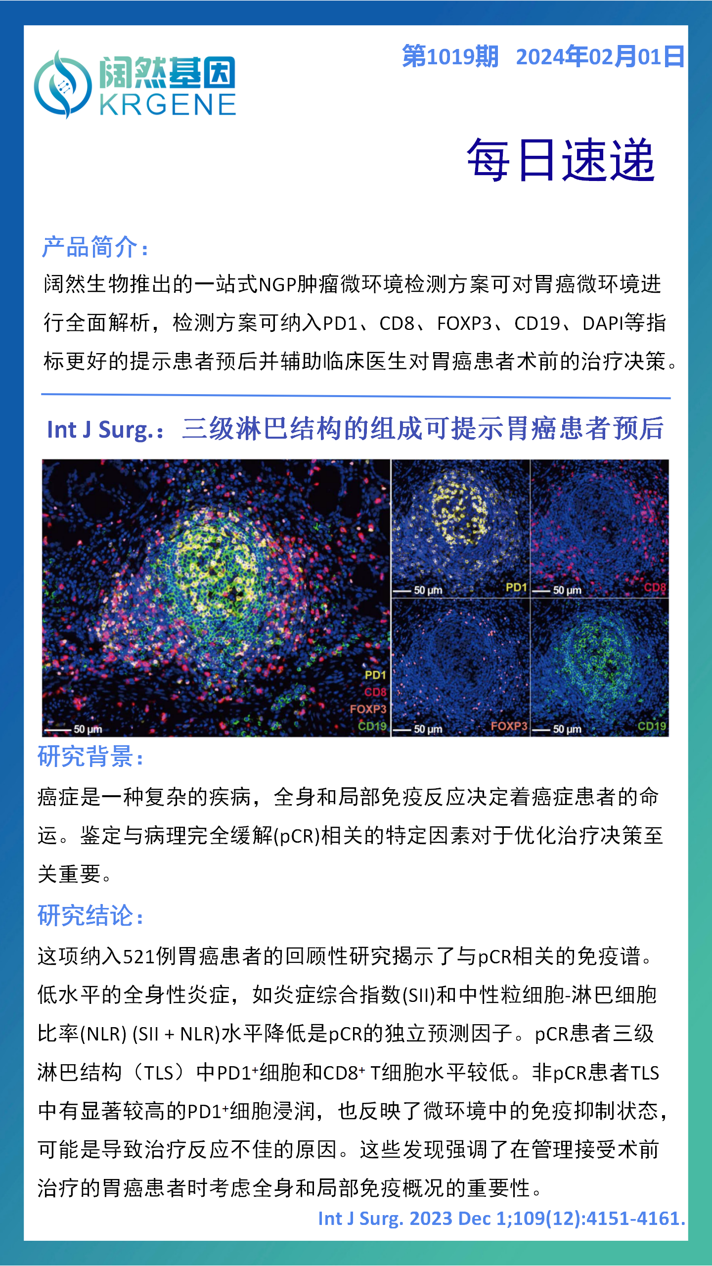 2024十二生肖49码表