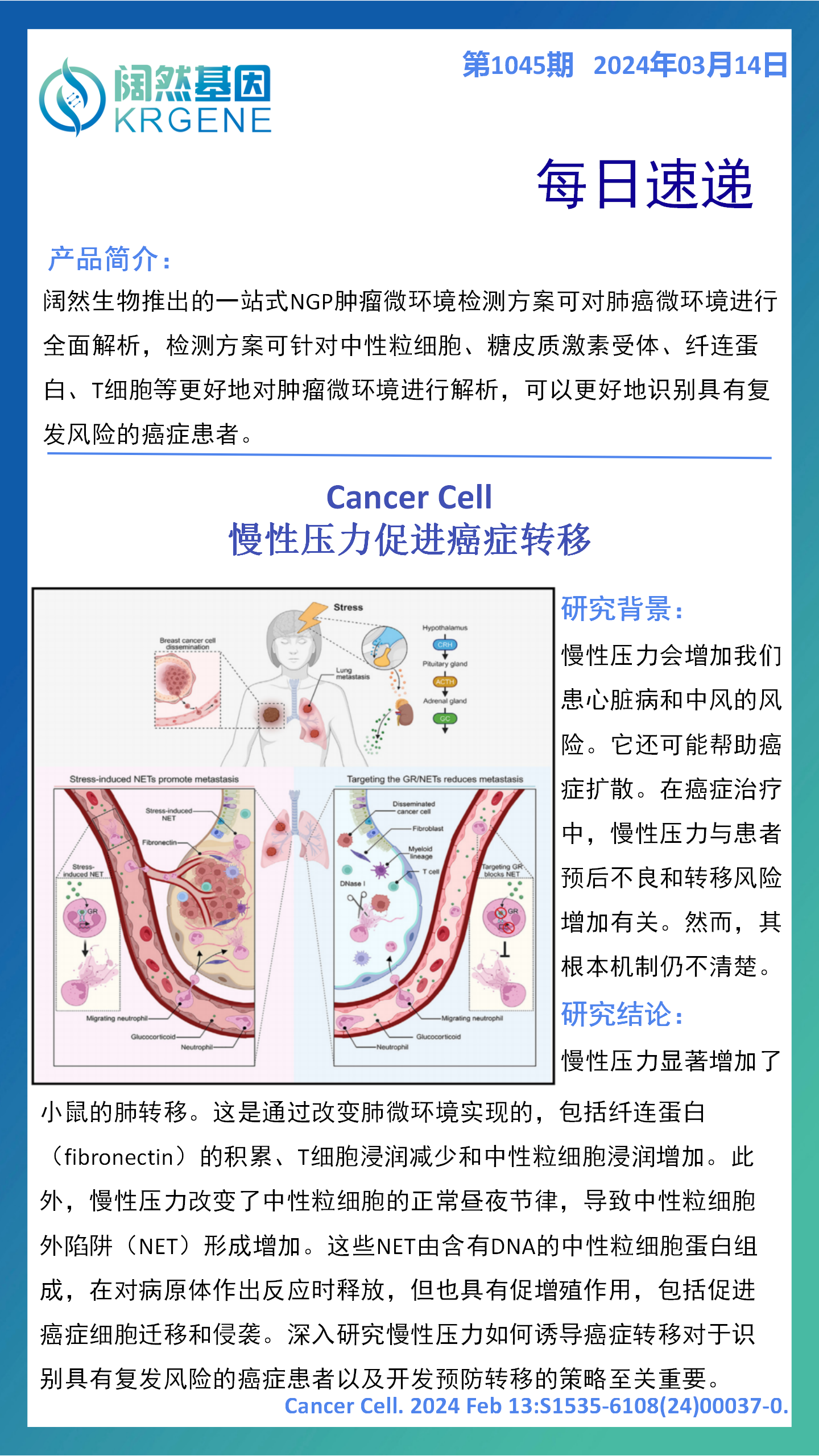 2024十二生肖49码表