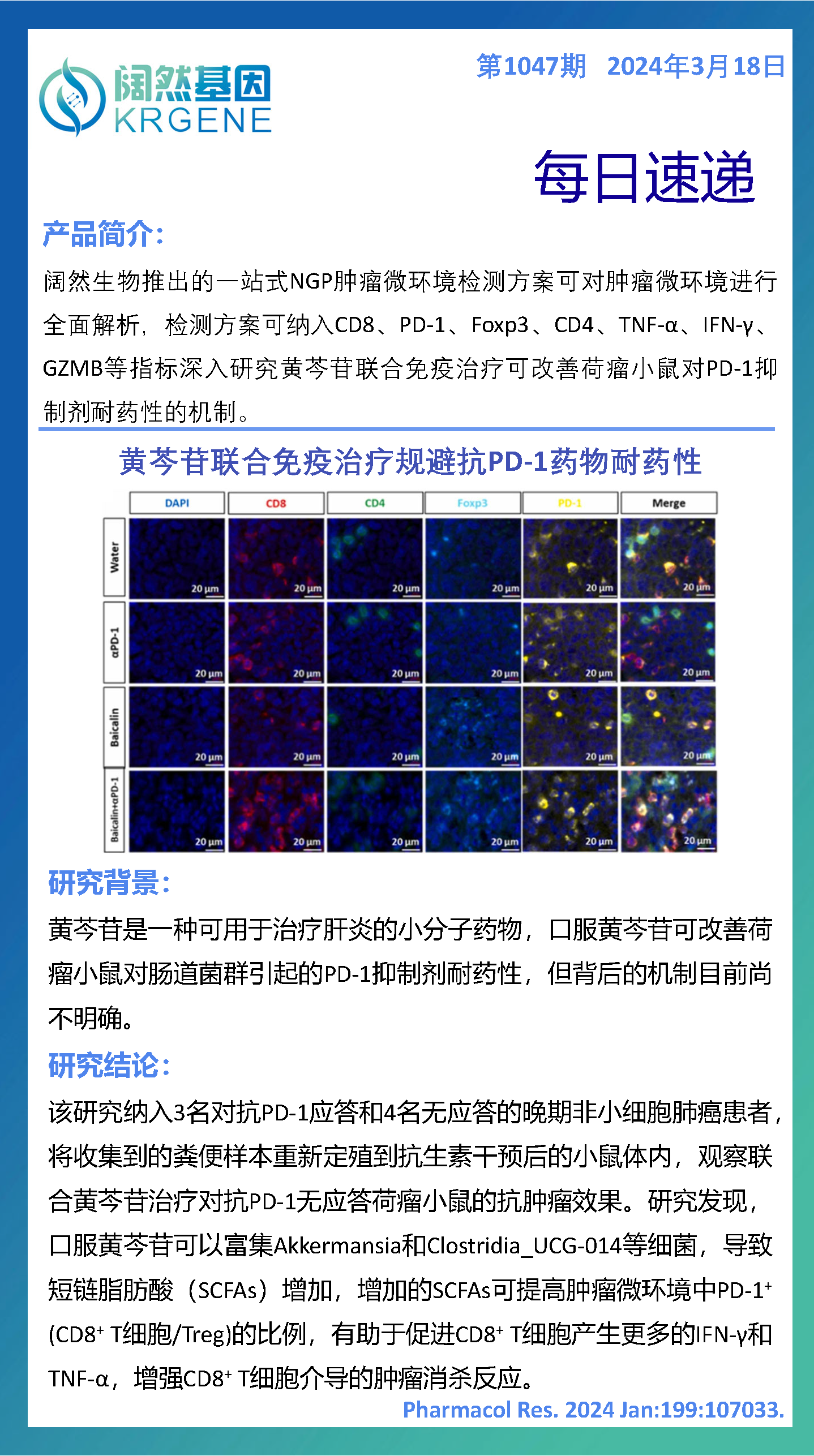 2024十二生肖49码表