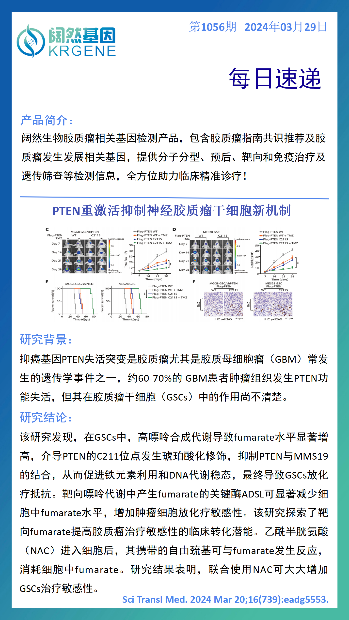 2024十二生肖49码表