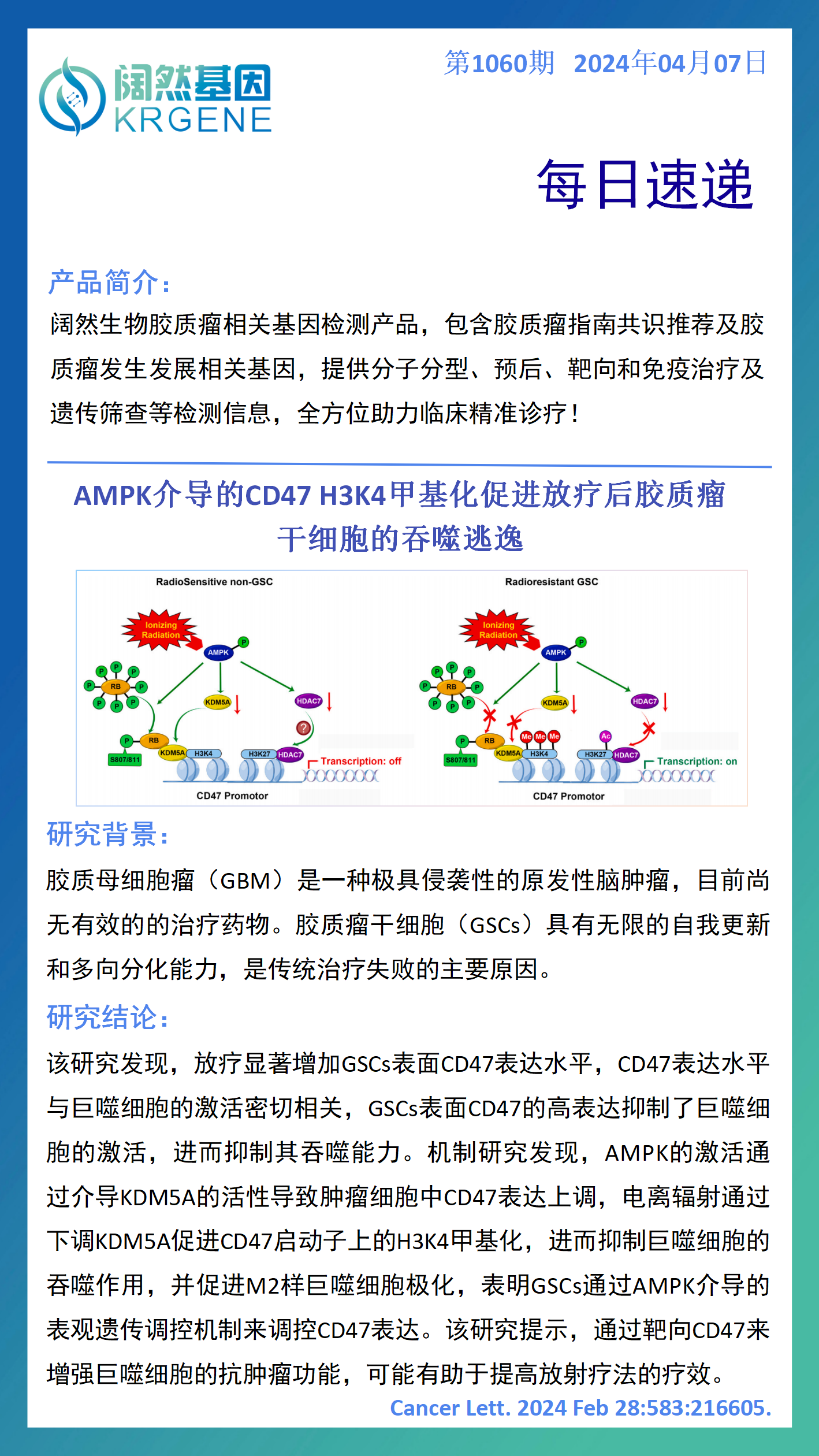 2024十二生肖49码表