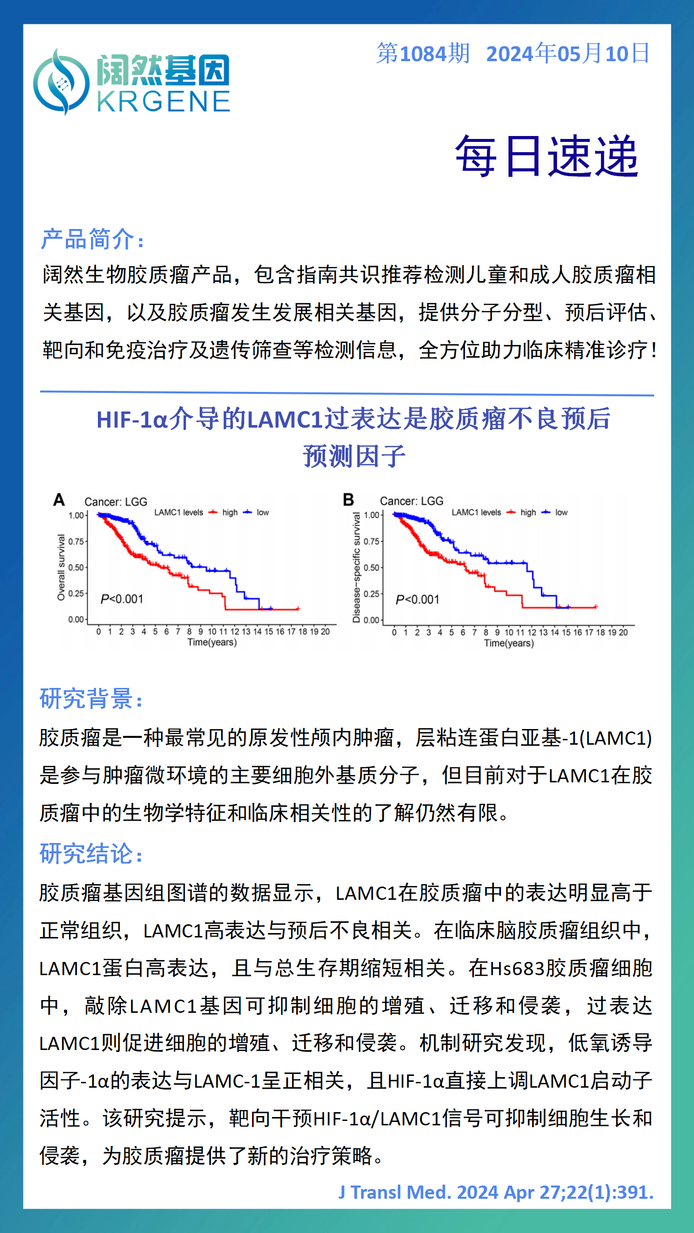 2024十二生肖49码表