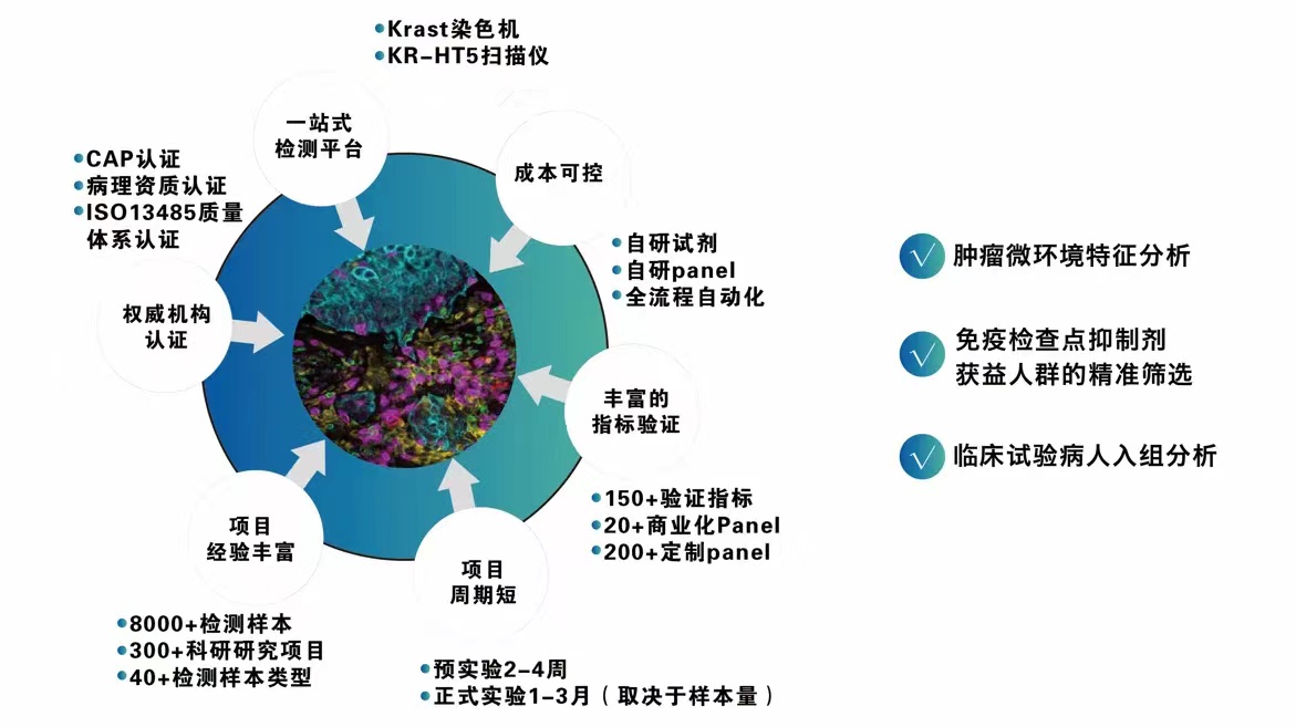 2024十二生肖49码表