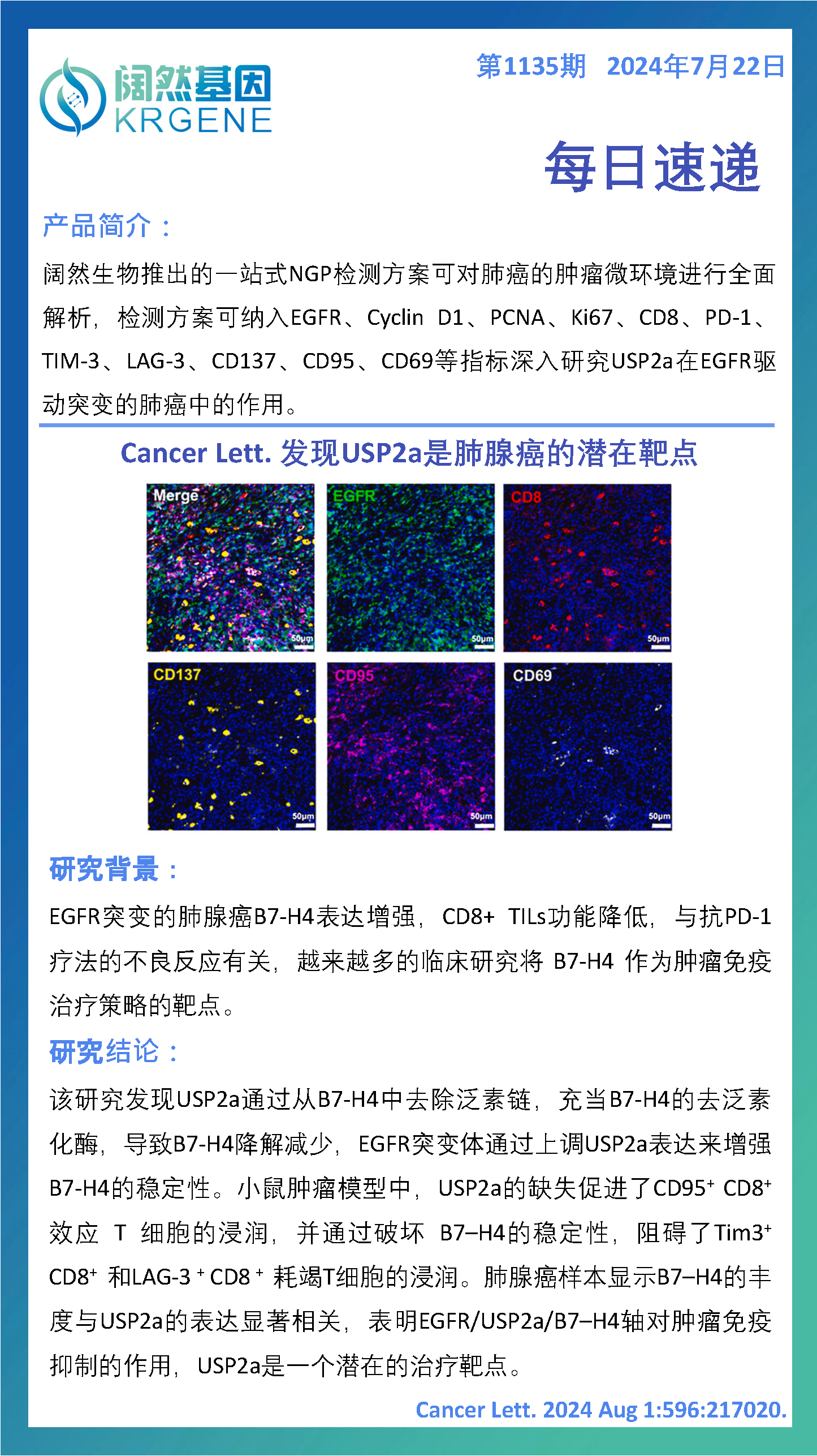 2024十二生肖49码表