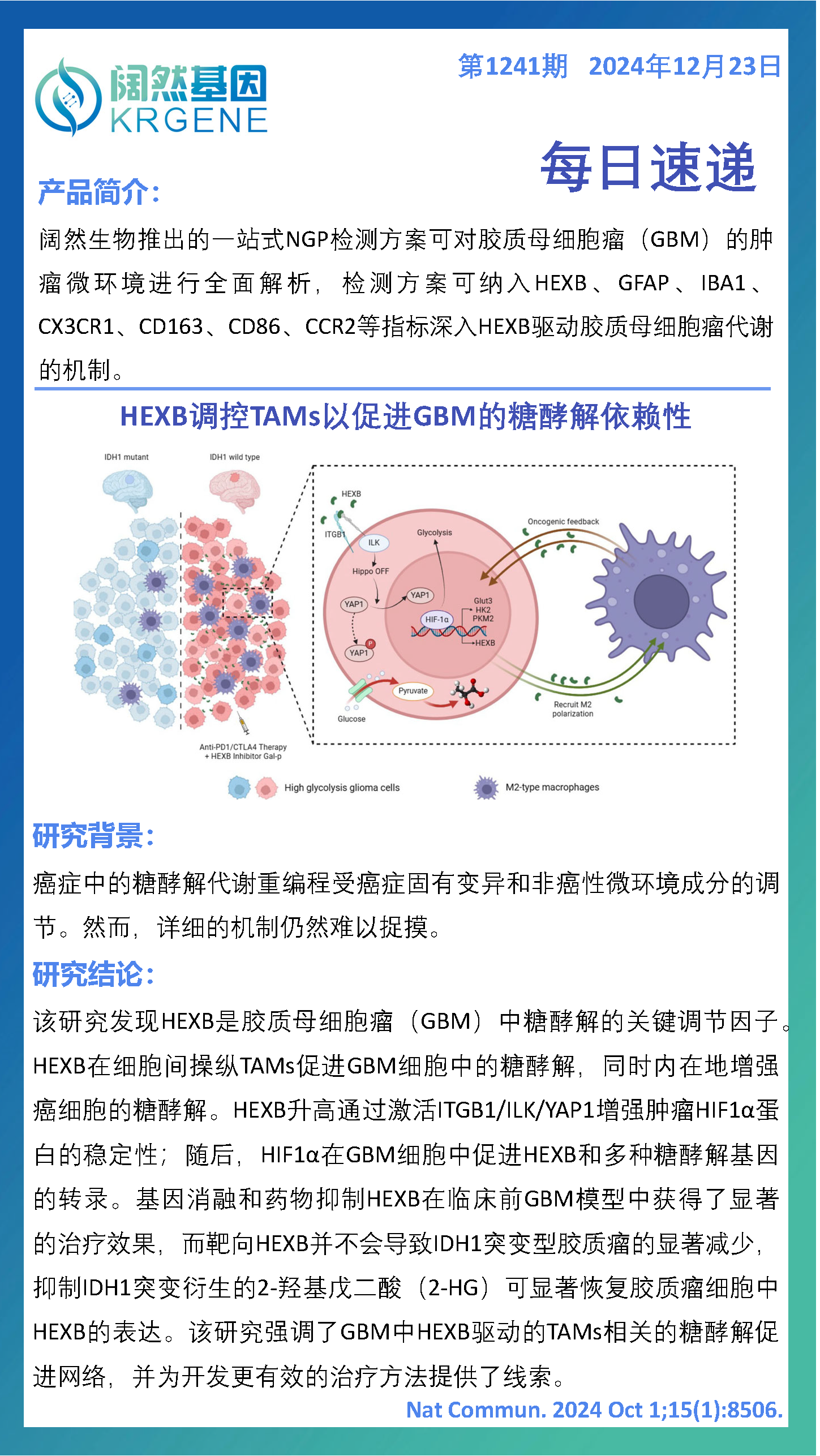 2024十二生肖49码表