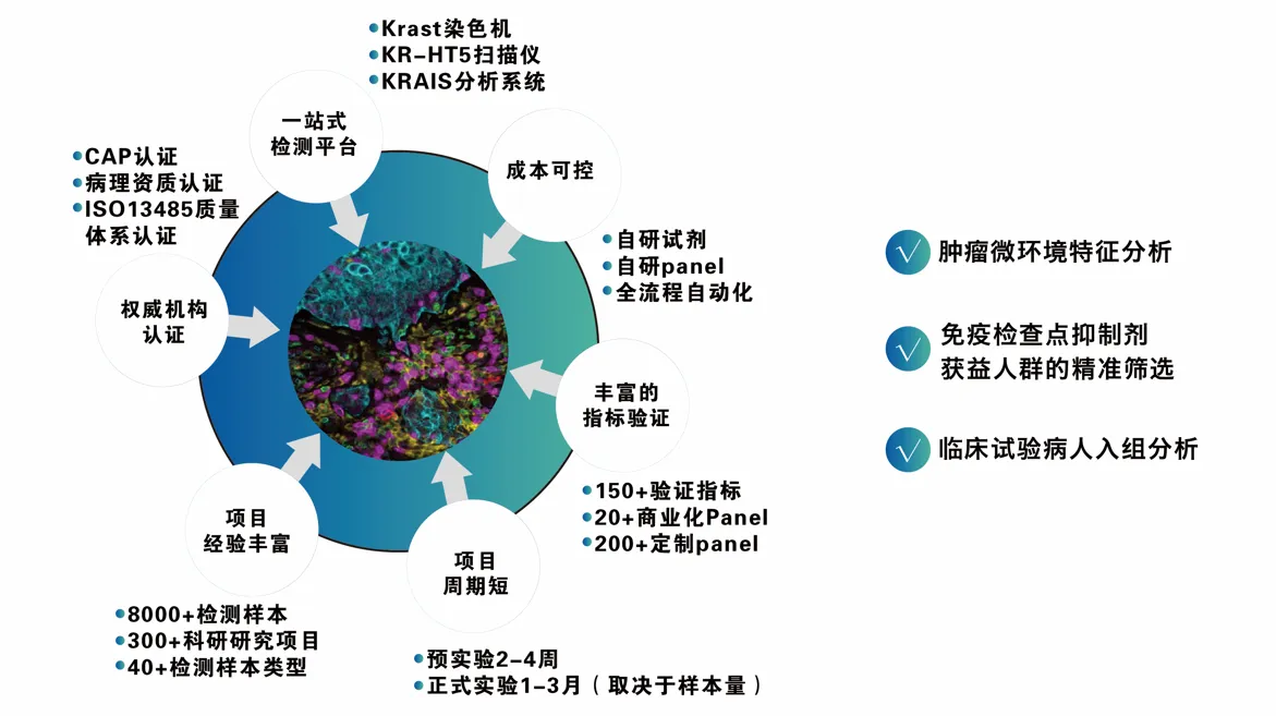 2024十二生肖49码表